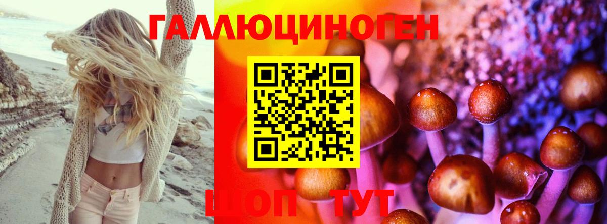 Елизово  Галлюциногенные грибы мицелий  Вход с VPN  Галлюциногенные грибы прущие грибы 